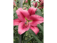 31,94���. �����  �������� (�������� ���� �� 10 ��., ����������� ����� 1��.).jpg