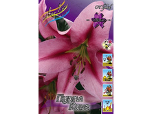 31,94���. �����  ����� ���� (�������� ���� �� 10 ��., ����������� ����� 1��.).jpg