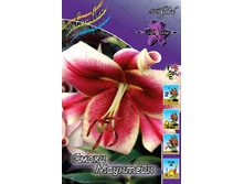 31,94���. �����  ����� �������� (�������� ���� �� 10 ��., ����������� ����� 1��.).jpg