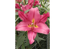 31,94���. �����  ������ (�������� ���� �� 10 ��., ����������� ����� 1��.).jpg