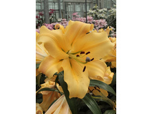 31,94���. �����  ���� �� (�������� ���� �� 10 ��., ����������� ����� 1��.).jpg