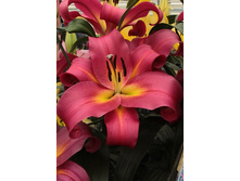 31,94���. �����  ������ (�������� ���� �� 10 ��., ����������� ����� 1��.).jpg