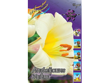 33,1���. �����  ���� ������ (�������� ���� �� 5 ��., ����������� ����� 1��.).jpg