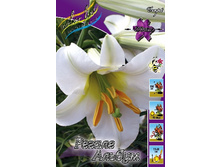 30,02���. �����  ������ ����� (�������� ���� �� 5 ��., ����������� ����� 1��.).jpg