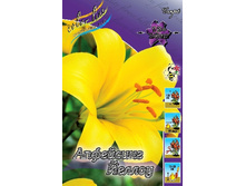 33,1���. �����  ������ ������ (�������� ���� �� 5 ��., ����������� ����� 1��.).jpg