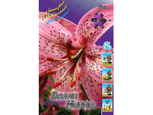 22,7���. �����  ����� ����� (��� 10 ��. ���������� ������ 5��.).jpg