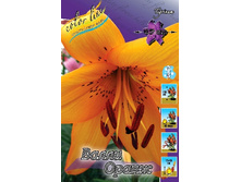 22,7���. �����  ����� ����� (��� 10 ��. ���������� ������ 5��.).jpg