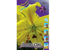 22,7���. �����  ����� ��� (��� 10 ��. ���������� ������ 5��.).jpg