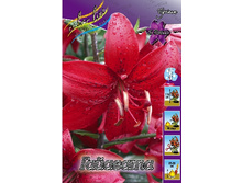 25,78���. �����  �������� (�������� ���� �� 10 ��., ����������� ����� 1��.).jpg