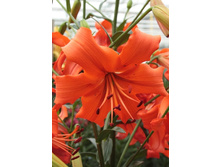 25,78���. �����  ���� ������� (�������� ���� �� 10 ��., ����������� ����� 1��.).jpg