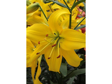 25,78���. �����  ���� ������ (�������� ���� �� 10 ��., ����������� ����� 1��.).jpg