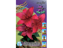 21,84���. �����  �������� (��� 10 ��. ���������� ������ 5��.).jpg