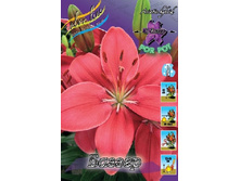 17,78���. �����  ������ (��� 10 ��. ���������� ������ 5��.).jpg