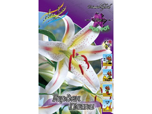 26,15���. �����  ������ ���� (�������� ���� �� 10 ��., ����������� ����� 1��.).jpg