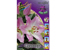 26,15���. �����  ������� (�������� ���� �� 10 ��., ����������� ����� 1��.).jpg