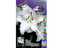 26,15���. �����  ��� ������ (�������� ���� �� 10 ��., ����������� ����� 1��.).jpg