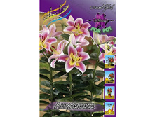 28,86���. �����  �������� (�������� ���� �� 10 ��., ����������� ����� 1��.).jpg