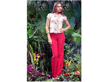 ����� Pt462 690p.JPG