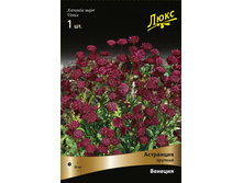 ��������� ������� �������.jpg