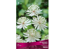 ��������� ������� �����.jpg