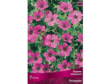 ������ ��������� ��������.jpg