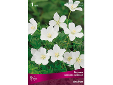 ������ �������-������� ������.jpg