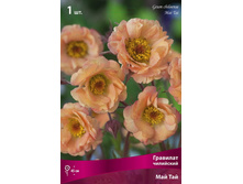 �������� ��������� ��� ���.jpg