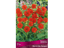 �������� ��������� ������ ��. ������.jpg