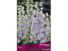 ���������� ������� ��������.jpg