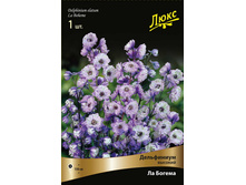 ���������� ������� �� ������.jpg