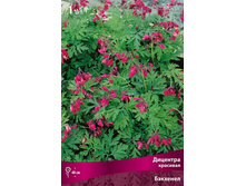 �������� �������� ��������.jpg