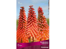 �������� ��������� ��������.jpg