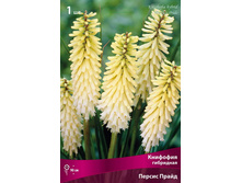 �������� ��������� ������ �����.jpg