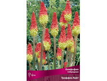 �������� ��������� ������� ����.jpg