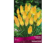 �������� ��������� ������ �����.jpg