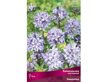 ����������� ��������� ��������.jpg