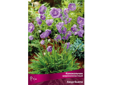 ����������� ��������������� ���� �����.jpg