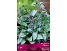 �������� ��������� �������.jpg