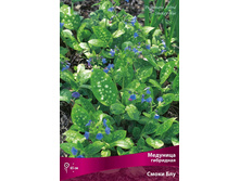 �������� ��������� ����� ���.jpg