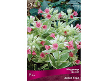 �������� ������� ����� ����.jpg