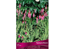 ������� �����.jpg