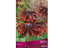 �������� ���������� ������.jpg