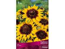 �������� ���������� ������.jpg