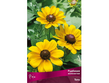 �������� ���������� ����.jpg