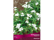 ������������ ��������� ��������.jpg