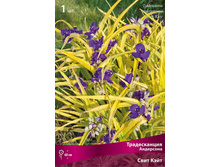 ������������ ��������� ���� ����.jpg