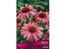 �������� ��������� ������.jpg