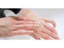 ������ ����