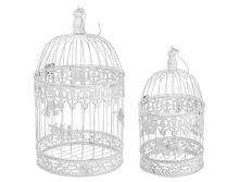 7030058.jpg  1064�