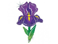 ��� 42 �� 107 �� ���� ���������� ����������.jpg